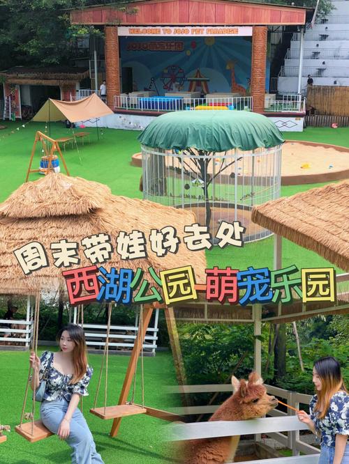 乐园同质项目疯马牛萌宠丨萌宠(乐园宠物宋体还可以同质)