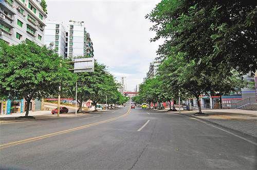 忠县重庆见缝插(忠县行道树绿地忠义城市)