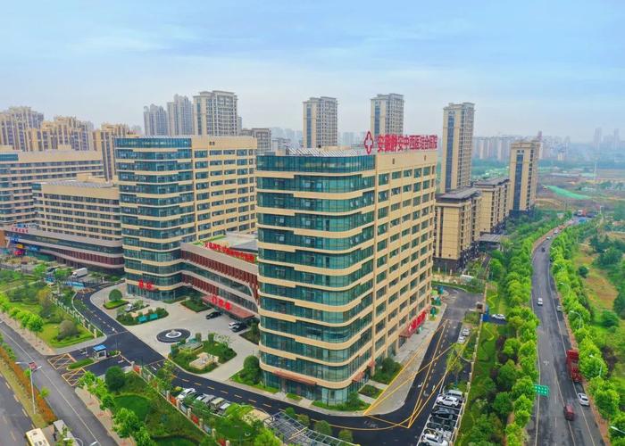 来了综合体总投资医疗(综合体医院医疗总投资武汉市)