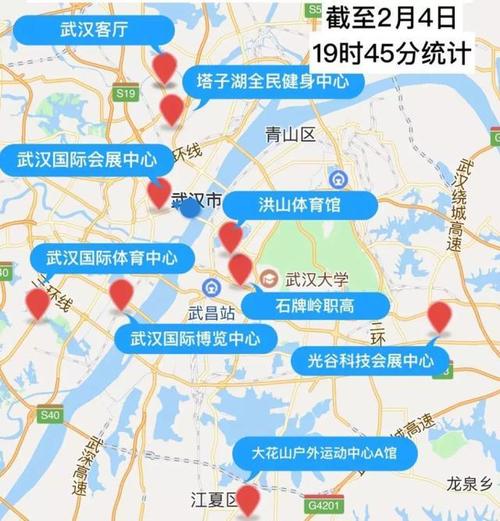 武汉市武汉这家补齐中心医院区域(武汉市医疗武汉中心医院区域)