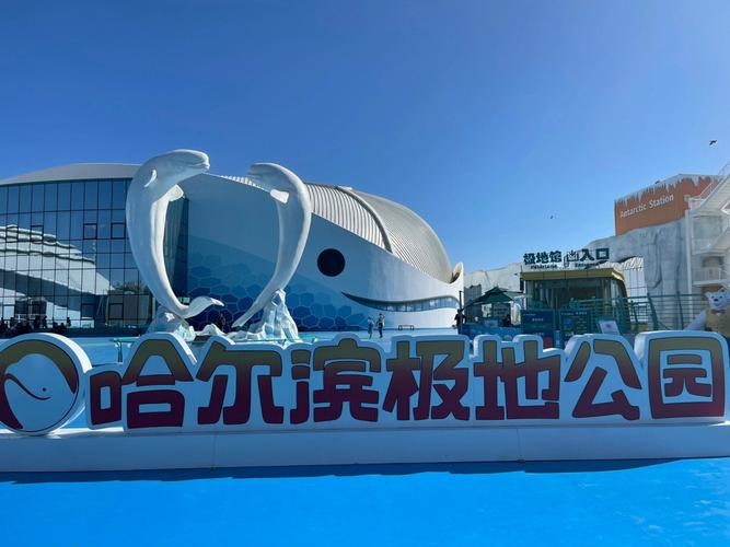 哈尔滨极地场馆公园案例年文旅(极地哈尔滨公园场馆案例)