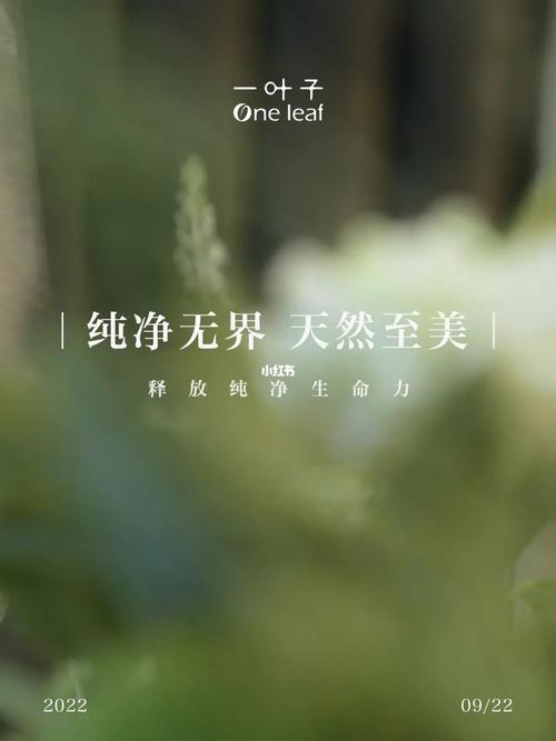 纯净赛道发力至美叶子无界(纯净叶子赛道中国发力)