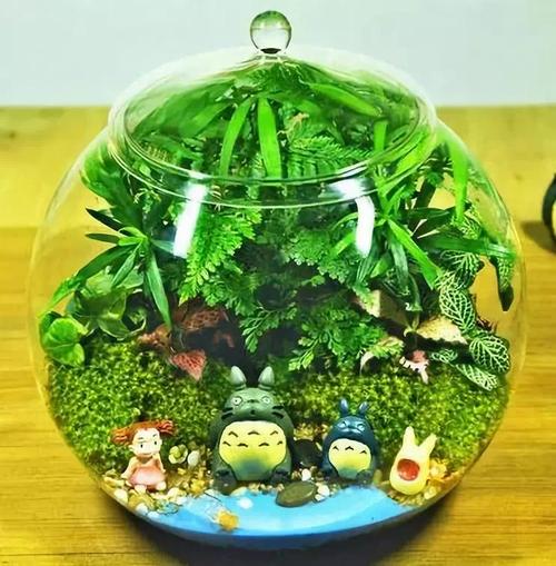 也能家居装饰景观精美植物DIY(植物景观也能家居装饰土壤)