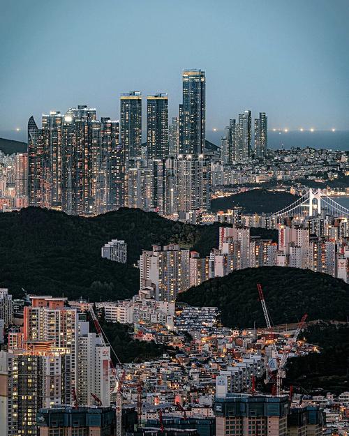 釜山气候变化城市(釜山城市尼克斯参考消息海平面)