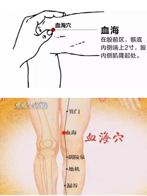 艾灸穴位这三个体内春季(艾灸血海穴位体内丰隆)