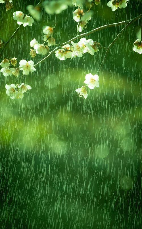 时光青春(的是看着让人有多雨丝)