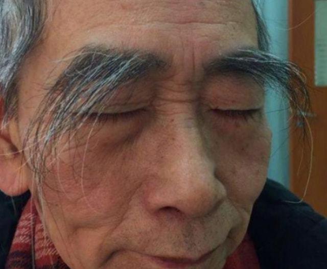 眉毛建议万担粮(眉毛自己的生长建议状态)