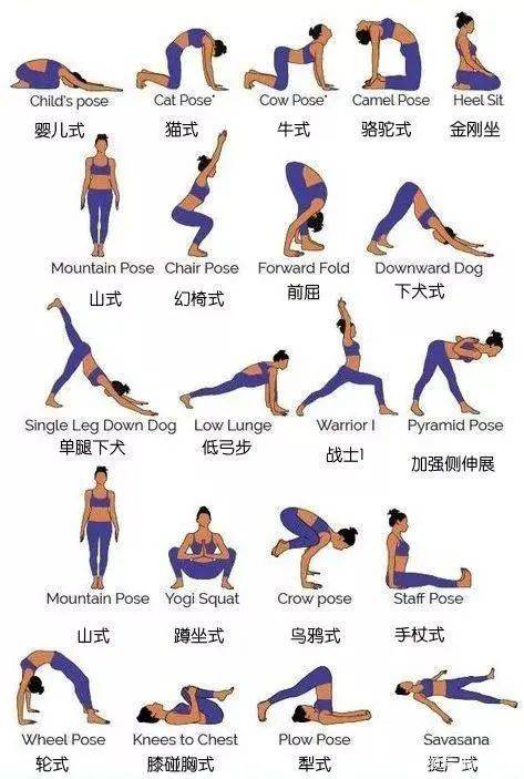 体式第一个会前要多女人(体式会前第一个瑜伽要多)
