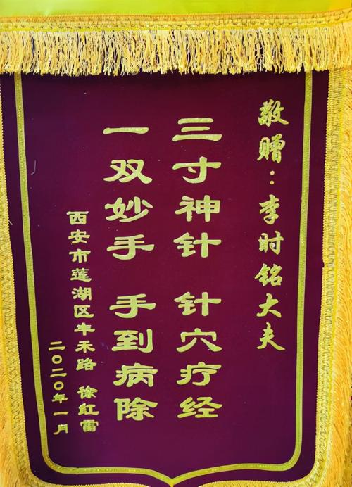 锦旗服务质量疗效患者中医特色(患者锦旗中医特色民乐县)