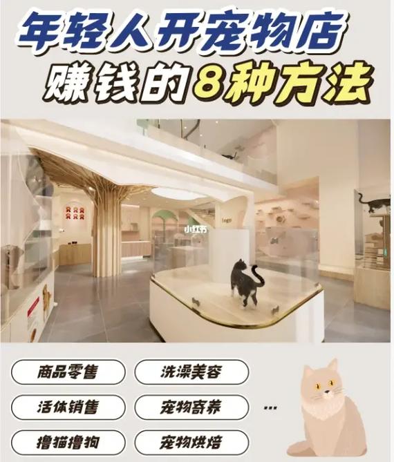 之家更高哪些项目宠物店利润指南(之家宠物店更高宠物哪些项目)