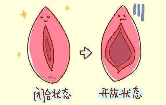 外阴要注意秘密花园女性皮肤科医生(外阴女性在线家庭医生局部)