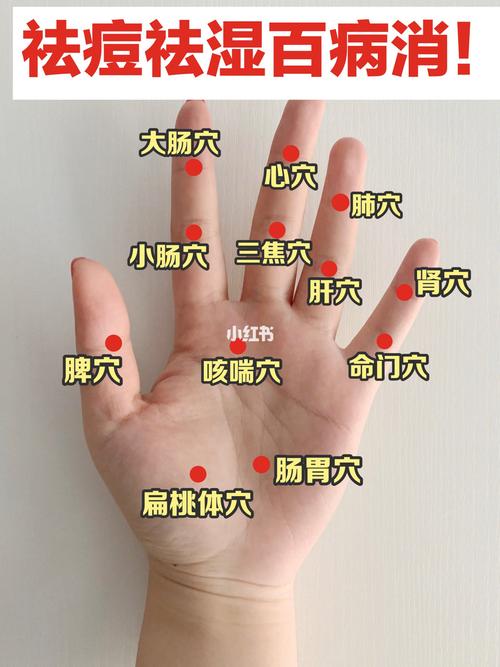 帮手排毒(枇杷帮手排毒穴位光明网)