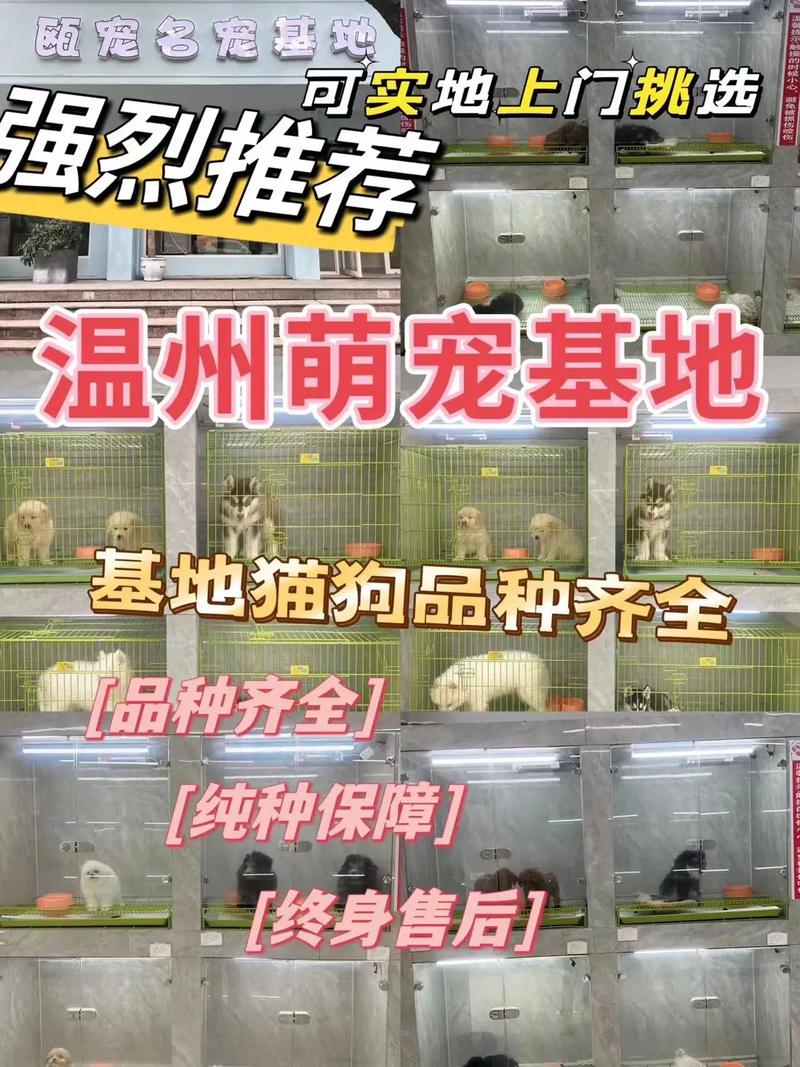 大白告诉您几项宠物店宠物(大白宠物宠物店狗狗告诉您)