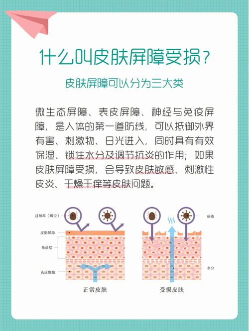 你是原因犯了错(皮肤你是屏障原因犯了错)