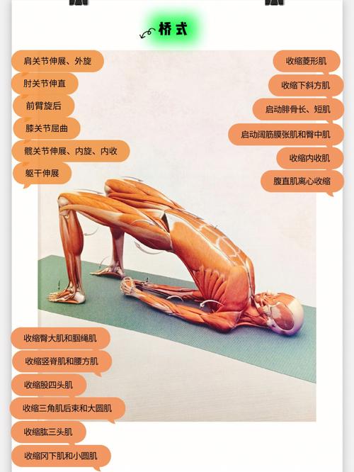 体式韧带骨骼瑜伽之计于春(体式骨骼瑜伽益处韧带)