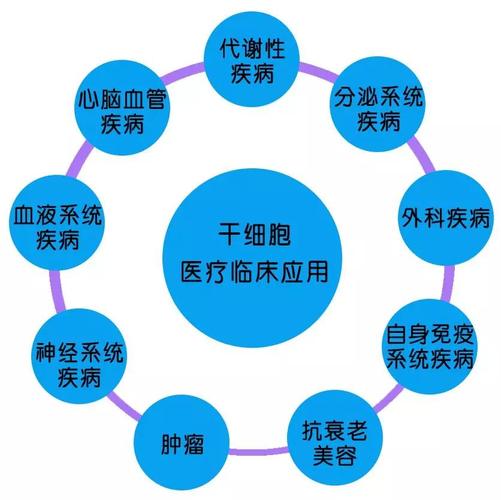 长寿重大突破都难成真驻美青春(细胞衰老干细胞长寿机体)