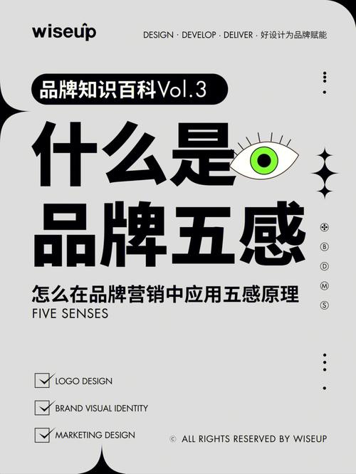 就能只需这五人大品牌(品牌就能只需这五知识)