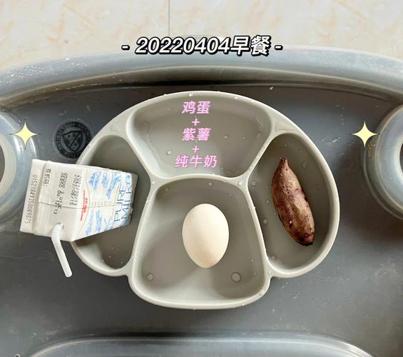 湿气白饭水肿三餐减肥法陈嘉桦(水肿白饭湿气三餐减肥法)