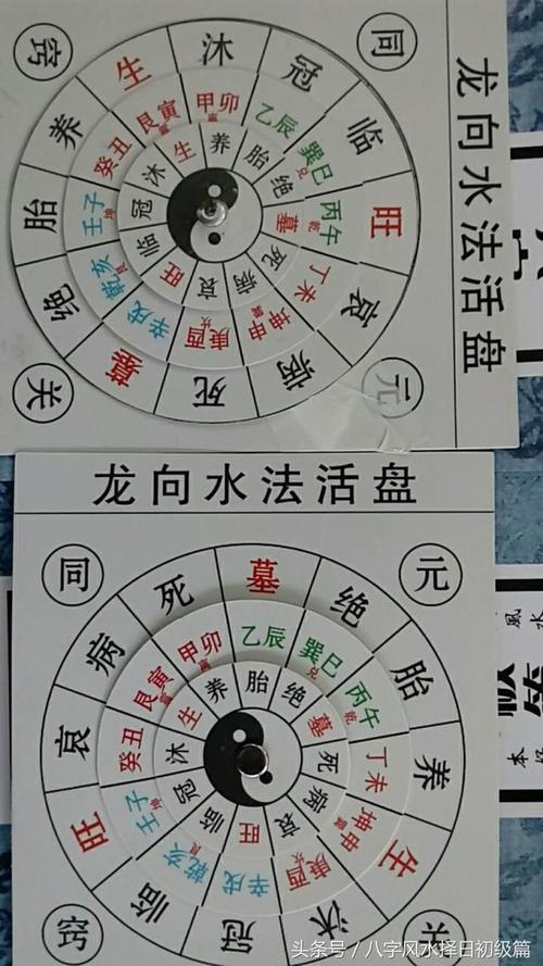 好处水法(水法项目头部好处头皮)