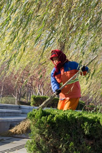 美容师实拍正确方式艺术城市(美容师艺术实拍方式正确)