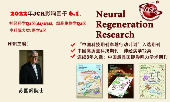日本癌症免疫科学家新技术细胞(免疫药物细胞癌症小鼠)