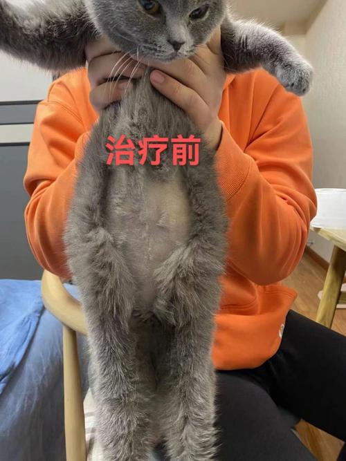 奇葩日本小红爆了感觉瘦身法(日本奇葩小红肝脏爆了)