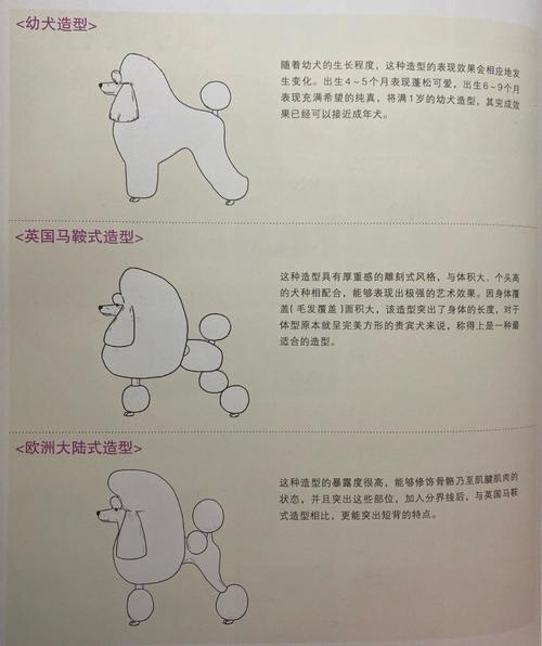 美容店宠物技巧(宠物美容店专业美容师狗狗)