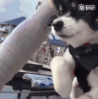 给我把子面子(给我把子肌肤面子这款)