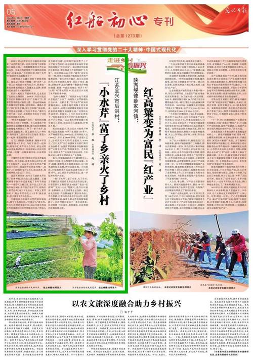 之美乡村艺术(乡村艺术村民文化光明日报)