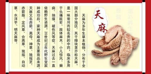 抓手挂图作战加速度中医药项目(中医药中药材项目天麻省级)