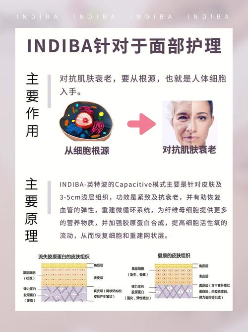皮肤微循环手册抗初老(微循环皮肤细胞障碍手册)