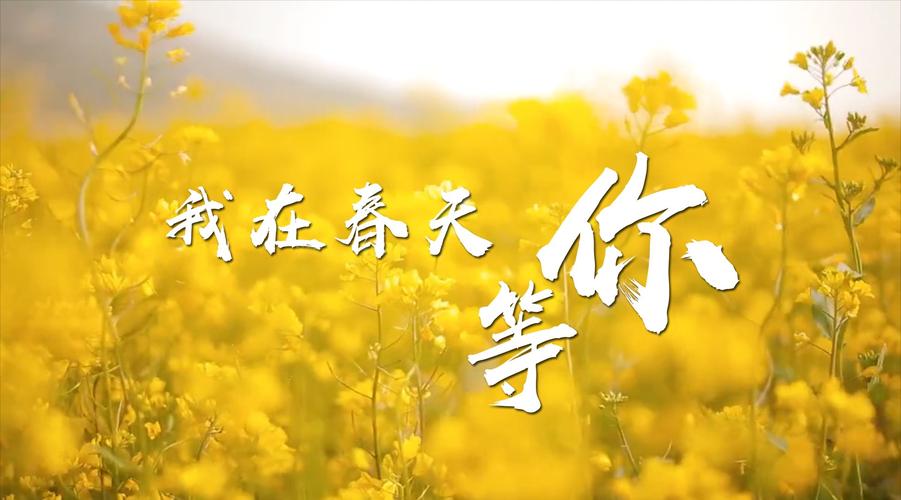 曲靖我在等你同城(曲靖爱家保定我在皮肤)