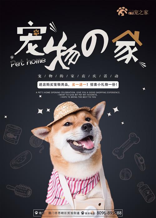 都有该怎么形式宠物广告(宠物受众广告品牌形象投资者)