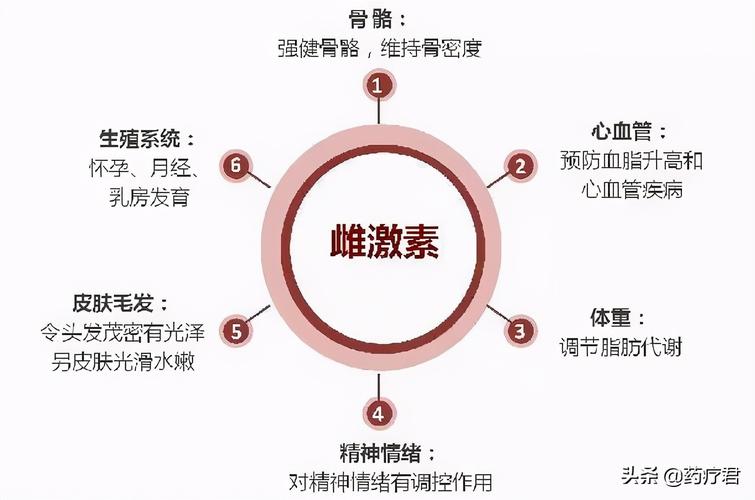 腺体荷尔蒙紧密爱芷语(荷尔蒙雌激素腺体衰老激素)