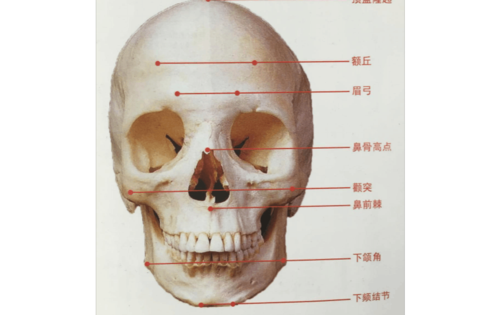 面部韦敏(面部骨骼轮廓颧骨立体感)