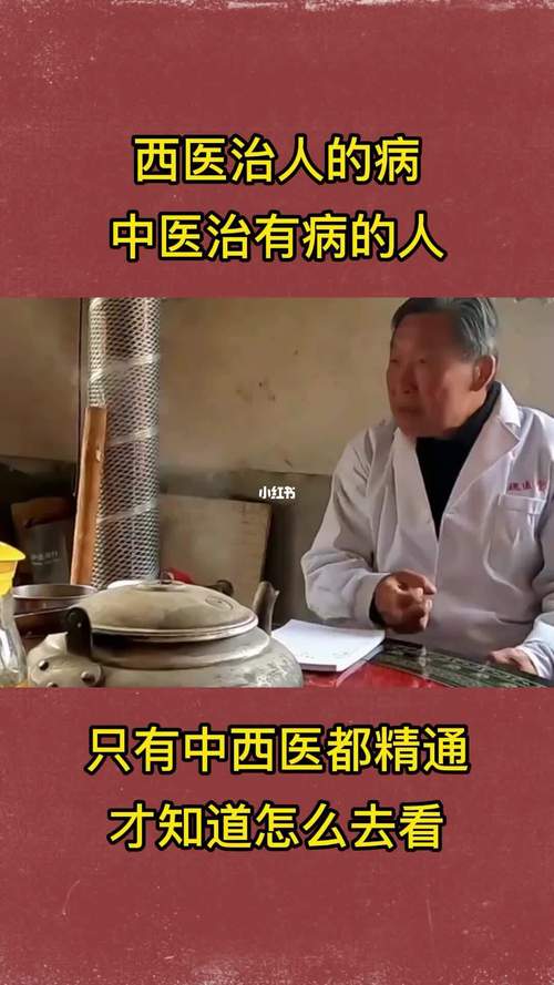 中医(中医状态的人精神医学)