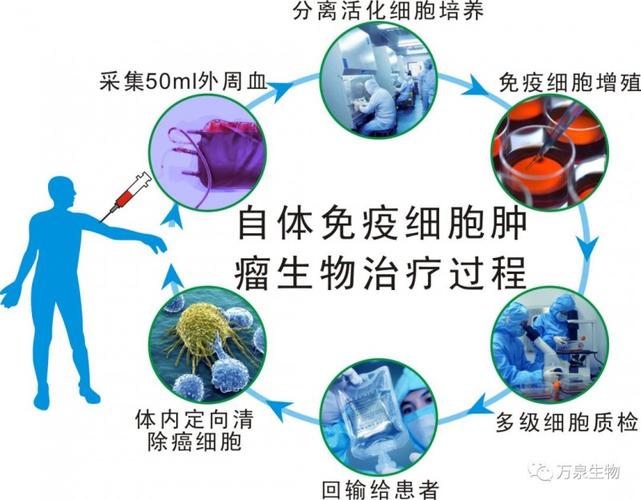 就能肿瘤疗法不干净细胞医生(细胞疗法公司医院中科)