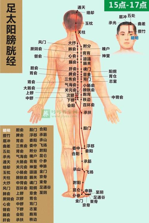 过了经脉周身全身(穴位部位脊柱小腿经脉)