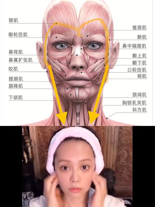 骨骼很管用方法(瘦脸脸颊骨骼适合方法)