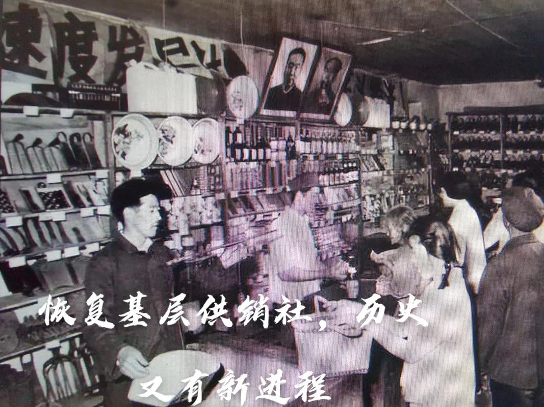 困局隐秘供销腐败角落系统(供销社供销黑龙江省系统亿元)