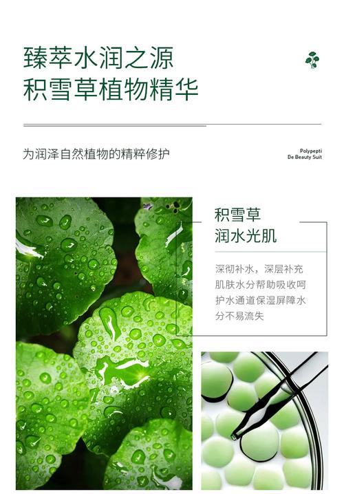 见过你有护肤品套系吗(积雪草见过你有多肽护肤品)