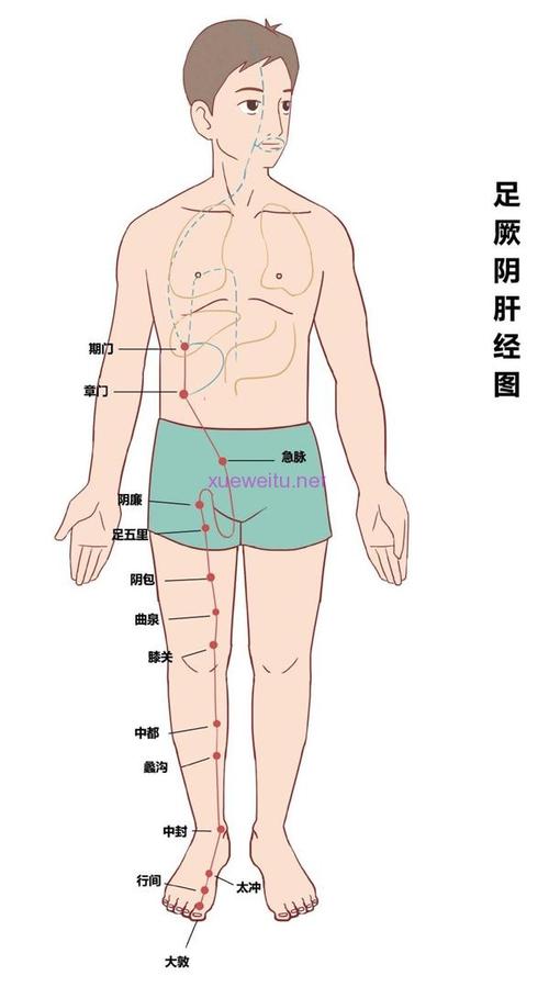 让你穴位这几个年轻(让你穴位这几个年轻黄帝内经)