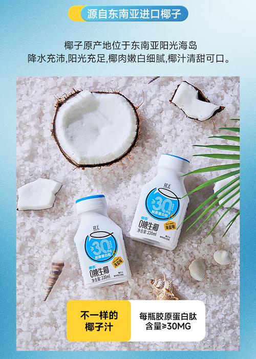 椰子椰肉蛋白质加工工艺营养椰汁(椰子椰肉蔗糖蛋白质原料)