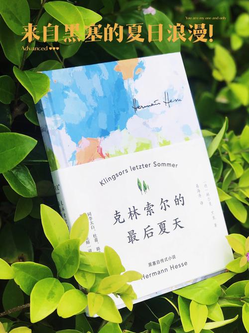 你得氛围夏天自由(你得夏天氛围宋体自由)