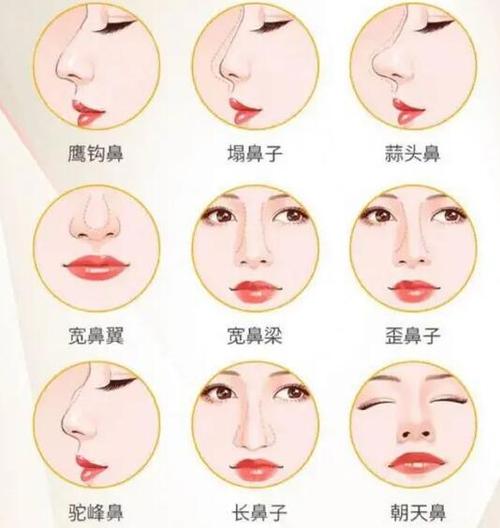 脸型教你大法高鼻梁(脸型教你大法高鼻梁妹子)