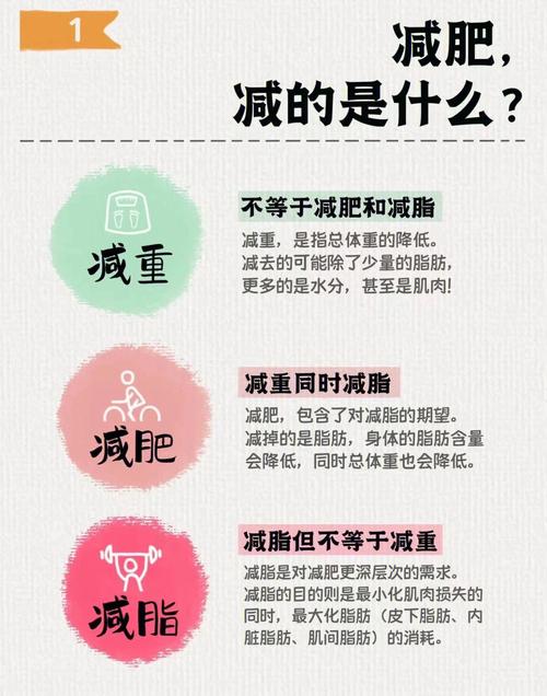 的是脂肪而不是体重是减脂(身体的是身材体重脂肪)