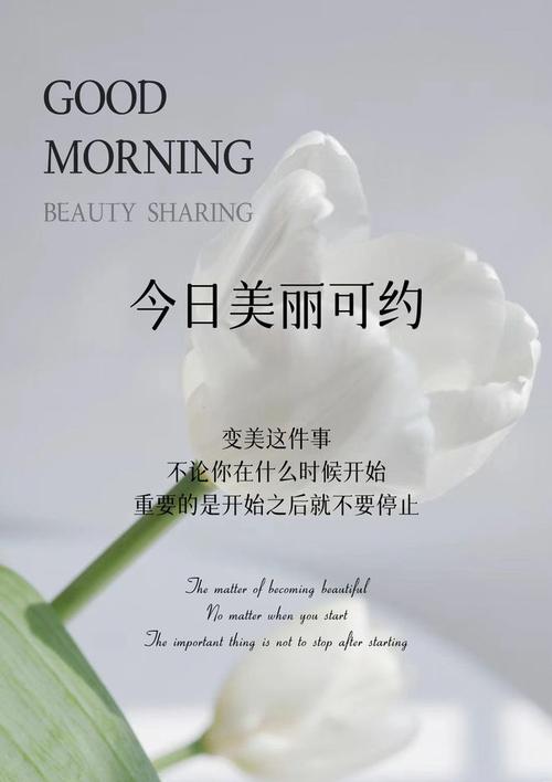 文案功底美容化妆品时尚(文案功底时尚行业化妆品)