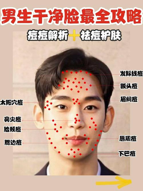 你真如何正确祛痘男生方法(痘痘皮肤科皮肤就会皮脂腺)