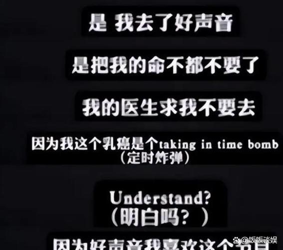 音乐(声音舆论黑幕形象等人)
