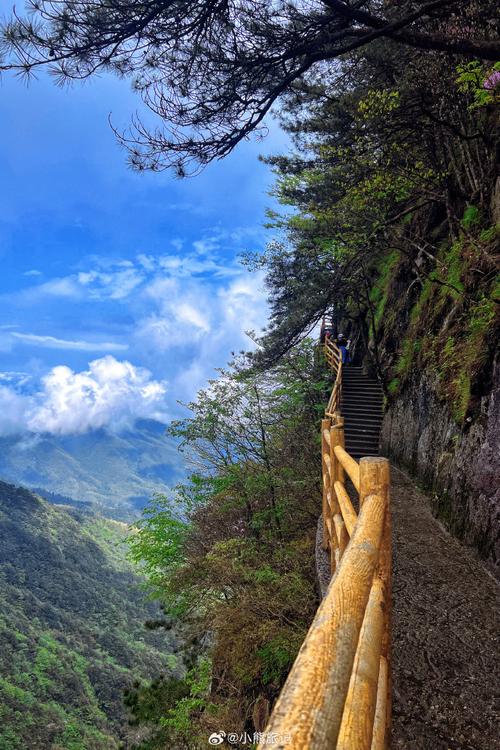 我来山河告诉您吃吧云山见证(山河云山我来维生素人群)